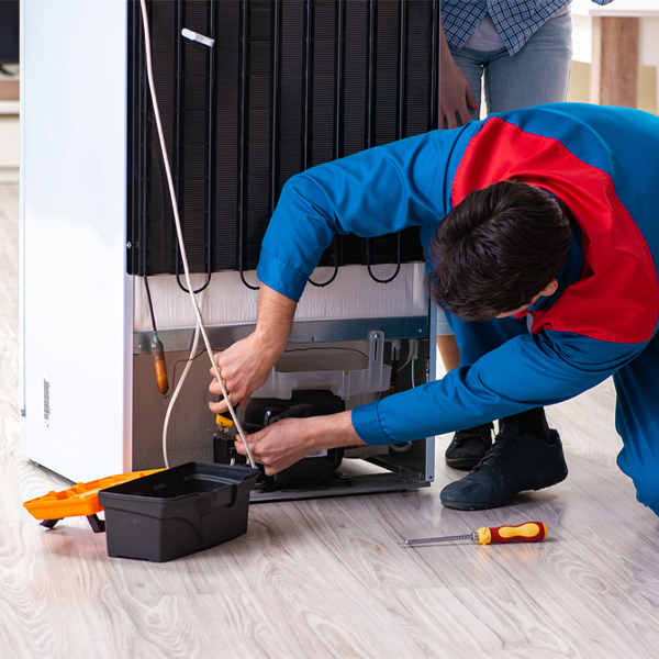 how much do you charge for refrigerator repair services in Buena Vista Georgia